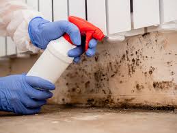 Best Black Mold Removal  in Southwest Sandhill, TX